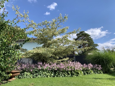 Wohlfühlgarten St. Pölten