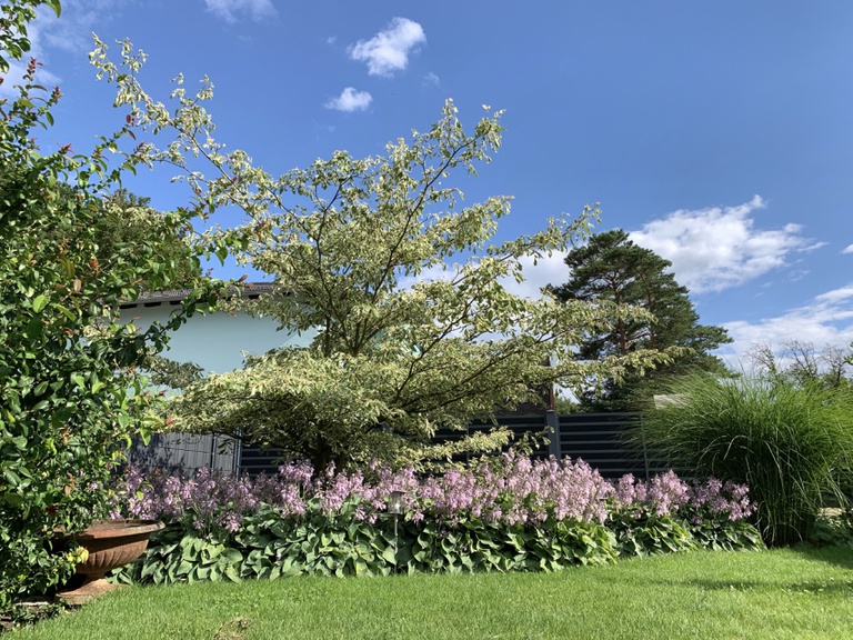 Wohlfühlgarten St. Pölten